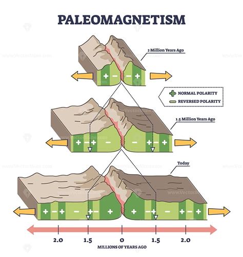 paleomagnetic dating biology
